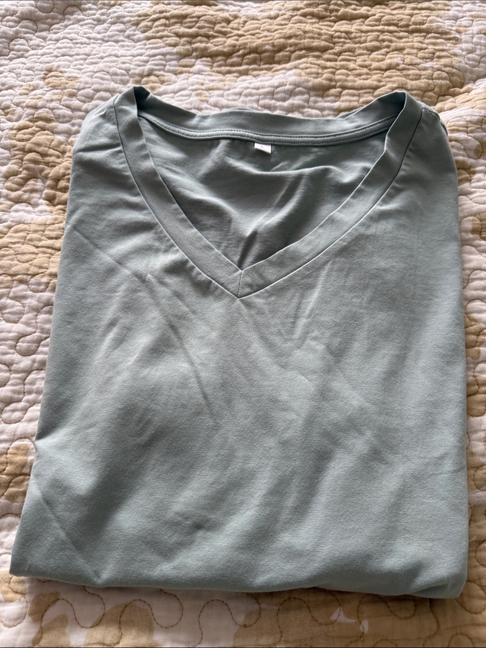 Women's V-Neck Tee in Sage Green